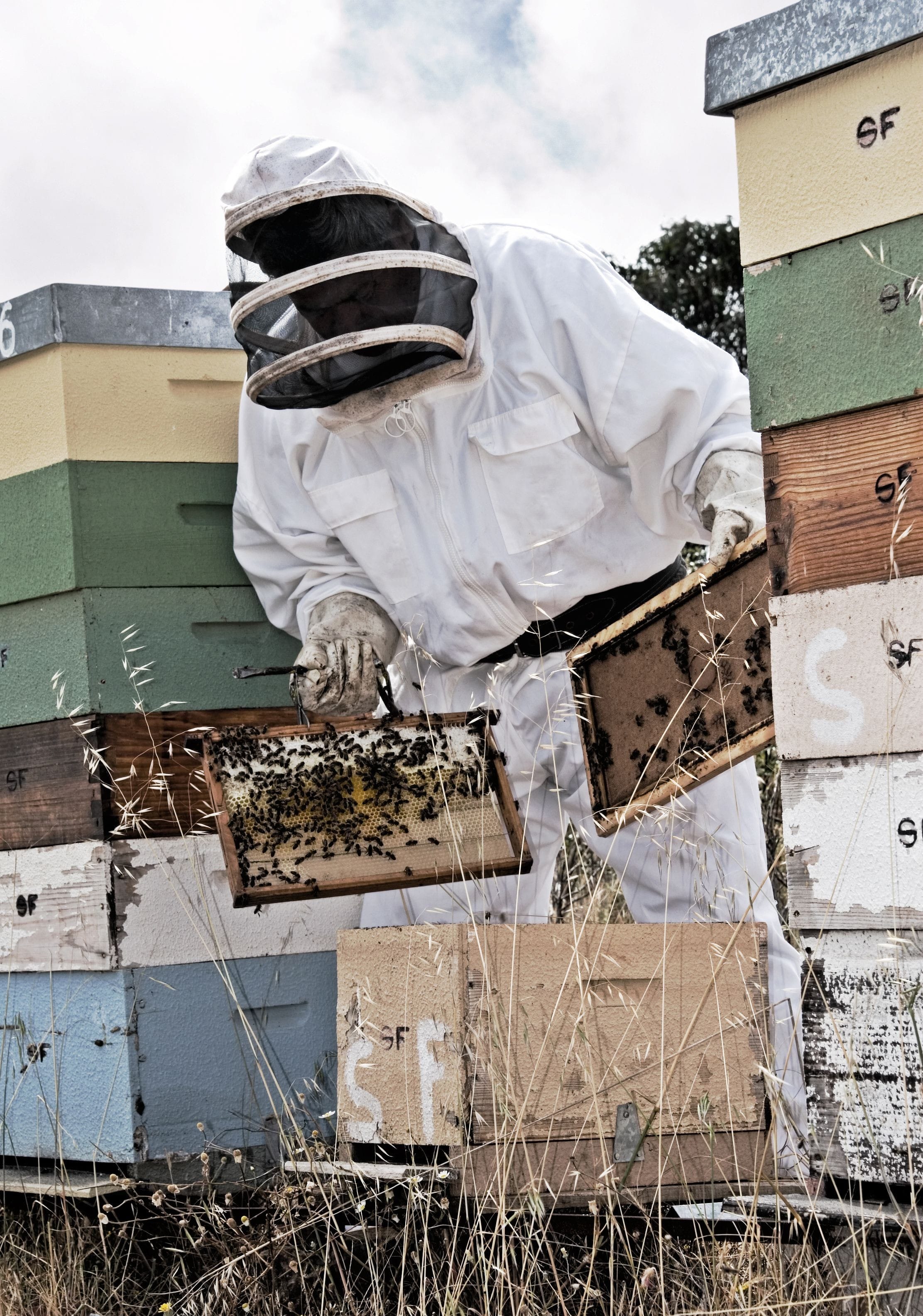 Beekeeper
